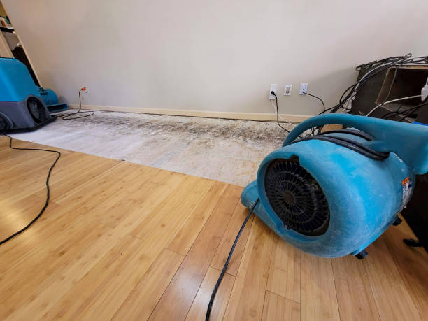 Professional Structural Drying technician working in Sardis, TN